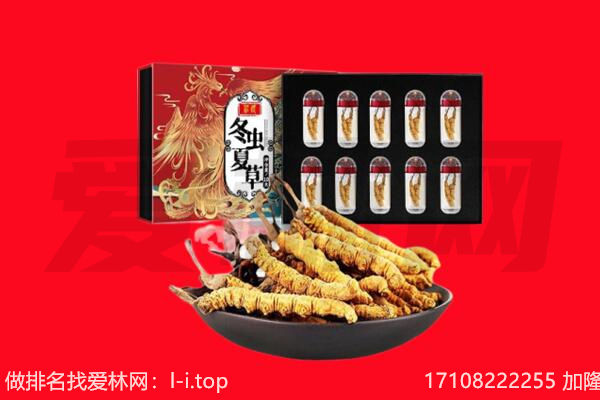 阜平县回收虫草.jpg